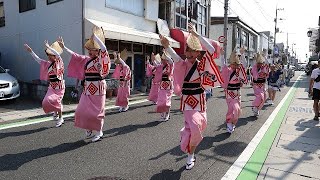 さつき連　土佐山田まつり2024  商店街流し踊り　8.3(土)  阿波おどり