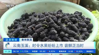 [正点财经]春味飘荡 云南玉溪：时令水果纷纷上市 尝鲜正当时|CCTV财经