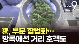 독일은 대마초 부분 합법화…방콕에선 거리 호객행위도