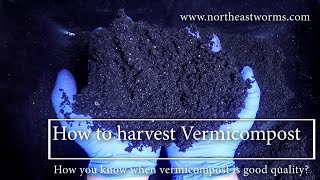 How to harvest Vermicompost and how you know when vermicompost is good quality