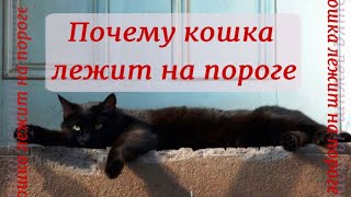 Почему кошка лежит на пороге  Why is the cat lying on the doorstep