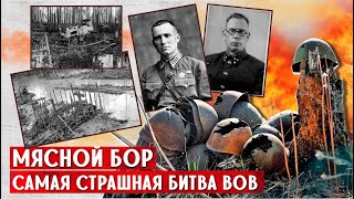 Долина Смерти: страшная гибель ударной армии РККА. Что там произошло?