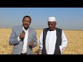 قصة نجاح مزارع سودانى فى انتاج القمح الجيلى مصطفى اللكندى