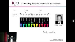 Mifobio 2023 - Marie ERARD \u0026 Luke LAVIS - 20 Yearsof fluorescent proteins and fluorophores...