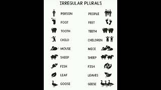 Irregular plurals