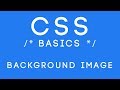 CSS Basics Tutorial 19 - Background Image