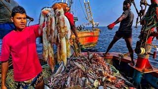 Amazing🤩 we caught lot of squid & Mackerel fishes in Deep sea | Day 3.