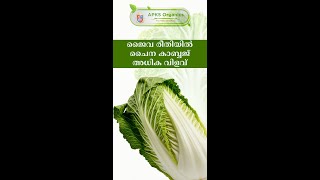 [Malayalam]Best result by using our organic inputs