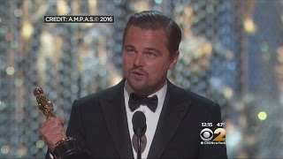 88th Academy Awards Recap