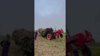 Mahindra 575 fails on sugarcane load #dailyvlog #tractor #shorts