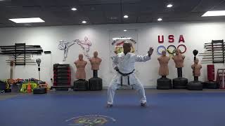 Niseishi kata Jyoshinmon Shorin Ryu karate do