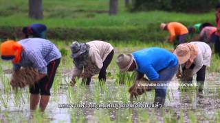 นักข่าวพลเมือง วิถีชีวิตบ้านนาเยีย ออกอากาศวันที่ 5 ม.ค. 59 @ 05.20 น.