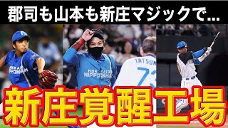 日ハムに移籍すると覚醒する説！？中日から移籍の郡司裕也の覚醒が半端ない！山本拓実も覚醒間近！！【北海道日本ハムファイターズ】