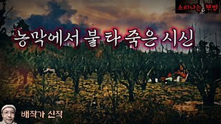 농막에서 불 타 죽은 시신_탐정 안강산 61화 (오디오북 소설|자막) Detective 推理小説 すいりしょうせつ [공포 미스테리 극장] 소리나는 책방 창작 스토리