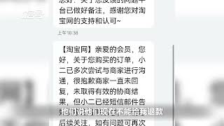 男子称淘宝网购半年未到货且无法退款  平台客服：商家违规被监管 买家自行联系商家退款