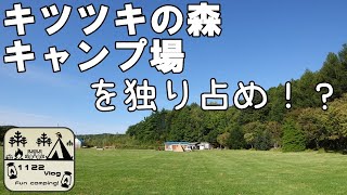 【キツツキの森キャンプ場】北海道キャンプ　1122Vlog