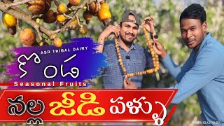 Black cashew fruits: కొండ నల్ల జీడి పళ్ళు / Konda Nalla Jeedi Pallu #fruit #winter @asrtribaldiary