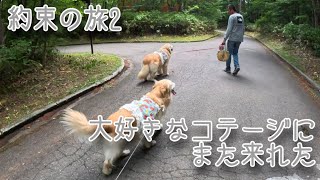 【約束の旅2】大好きなコテージにまた来れました