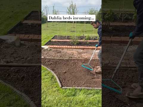 Which fertilizer is best for flowering plants?