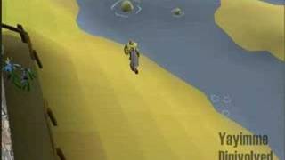 Digi's level 2 clue scroll 1