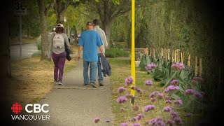 B.C. Housing under fire