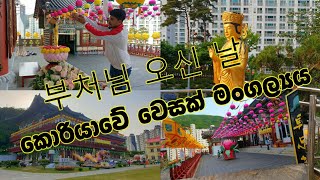 දකුණු කොරියාවේ වෙසක් මංගල්‍යය ~ 부처님 오신 날~Buddha's Birthday Celebration in Korea ~vesak festival 🏮 🇰🇷