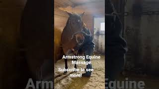 Horse Massage Class #horse-massage #minnesota