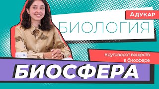 Биосфера. Круговорот веществ в биосфере | Биология ЕГЭ, ЦТ