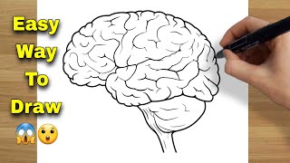 How To Draw Brain