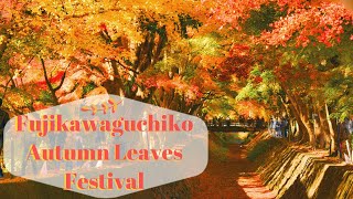 Fujikawaguchiko Autumn Leaves Festival | 富士河口湖紅葉まつり #富士河口湖紅葉まつり2021 | #japan #kawaguchiko #mountfuji