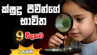 Grade 9 Science🔬 ක්ෂුද්‍ර ජීවීන්ගේ භාවිත🔬 1 පාඩම -  Uses of Microorganisms (9 වසර විද්‍යාව)