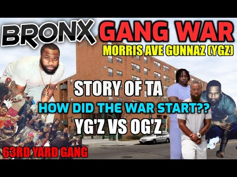 Bronx Gang War - The Split Between YGz & OGz - Morris Ave - How Did The ...