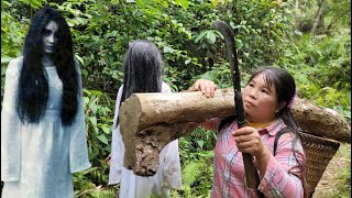 Single mother in danger in the forest - Harvesting natural green vegetables to sell