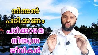 നീന്തൽ പഠിക്കണം, പഠിക്കാതെ നീന്തുന്ന ജീവികൾ | Neenthal Padikkanam | Goodness Path