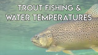 Trout Fishing \u0026 Water Temperatures | Tom Rosenbauer