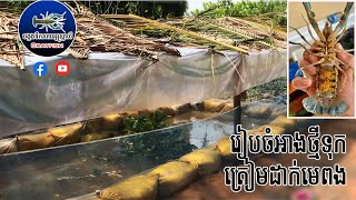 រៀបចំអាងថ្មីទុកត្រៀម​ដាក់មេពង ចំណាយអស់តិច| បង្កងអូស្ត្រាលី Crayfish