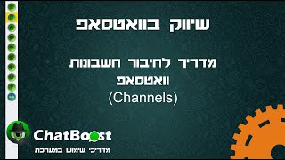 שיווק בוואטסאפ - מדריך לחיבור חשבון וואטסאפ