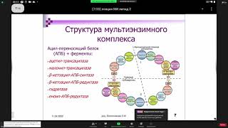 биосинтез жирных кислот, ТАГ, сложных липидов, обмен холестерина