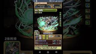 【パズドラ】橙の契約龍 劉備