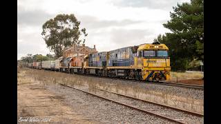 Quad NR's on PN's 4PM6 \u0026 Aurizon's 7MP1 at Stawell and Ararat- 13/7/24