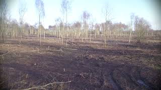 Willerby Low Road - Gone Are The Trees