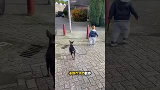 賢い犬が子どものミスを直す