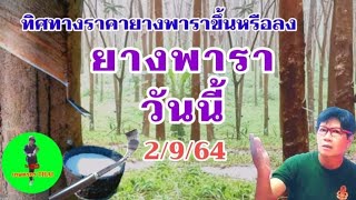 ราคายางพาราวันนี้ ยังทรงตัว 2 กันยายน2564