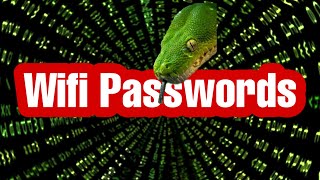 Get WiFi Passwords With Python | python project for beginners