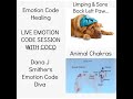 ANIMAL EMOTION CODE SESSION FOR PAIN