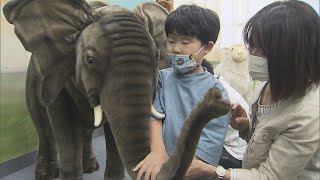 川越市の盲学校に“触れる動物園”開園／埼玉県