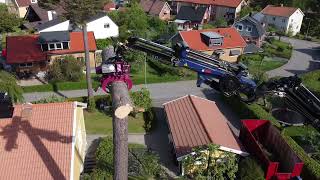 Cranetruck sawing tree - HIAB X-HiPro 408 E-6 + Jib 70X -4 #1 | Jansson \u0026 Frank Transport