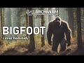 bigfoot i inne hominidy z archiwum radia paranormalium 21 czer 2015