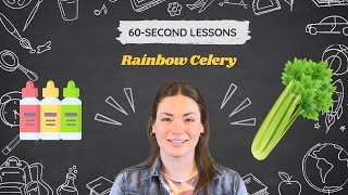 60-Second Lesson: Learn How Plants Absorb Water by Making Rainbow Celery
