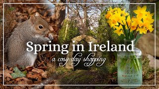 A Day in my Life in Ireland | Cafe Vlog | Spring Ambience | Woodland Walk |